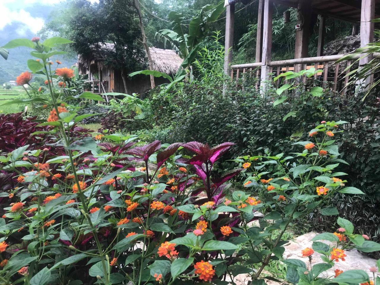 Little Mai Chau Home Stay Ngoại thất bức ảnh